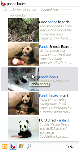 Visual Search